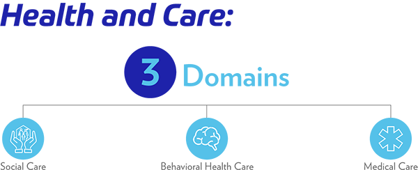 Healthcare Domains